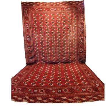 Alfombra Pakistaní Tekke Bockhara en lana 320X520 Colección Exclusiva