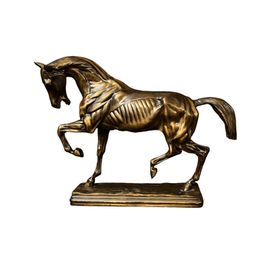 Figura francesa de bronce “Caballo desollado” Importacion26