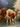G. Brasseur - Óleo sobre tela ‘Vacas pastando’ Bucarest Art & Antiques