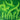 Michael Yaikel - Linóneo 5 colores 'Planta monocromo verde' Colección Exclusiva