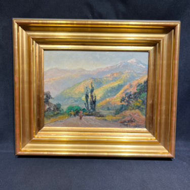 Ladislao Cheney - Óleo sobre tela 'Atardecer Guayacán’ Cajón del Maipo 1978