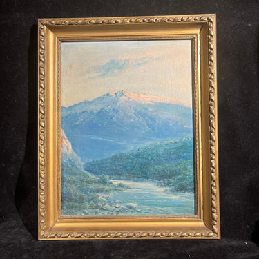 Florencio Vial - Óleo sobre tela 'Paisaje del valle central' Bucarest Art & Antiques
