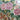 Gran porcelana china flores pintadas a mano contemporáneo Bucarest Art Gallery