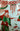 Jarrón porcelana china 'escena en jardín en verde y rojo' Bucarest Art Gallery