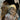 Pareja de músicos dentro de un tronco en terracota policromada – Estilo Goldscheider 1920 Bucarest Art & Antiques